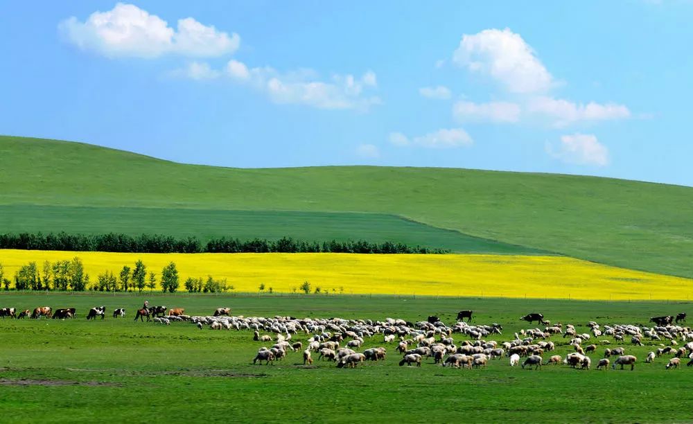 内蒙古风光掠影